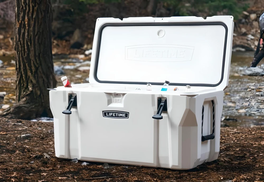 best ice cooler box