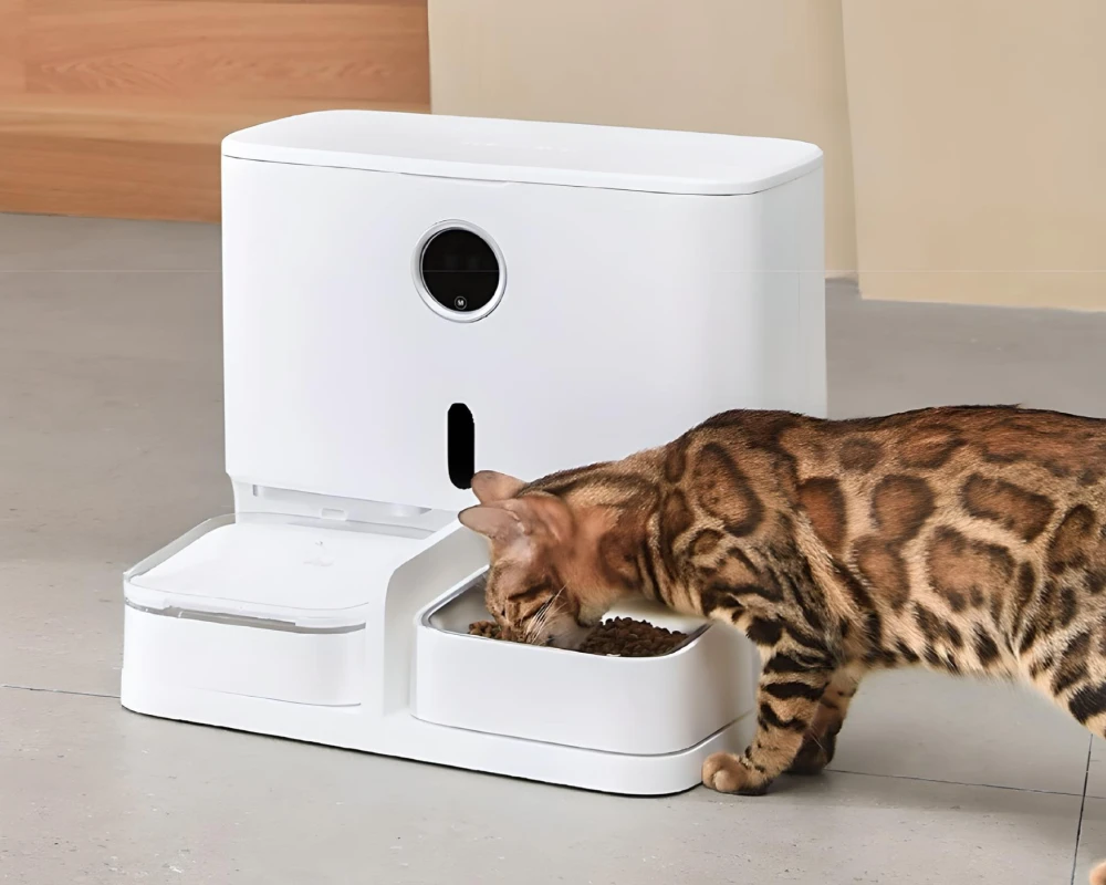 auto pet food dispenser